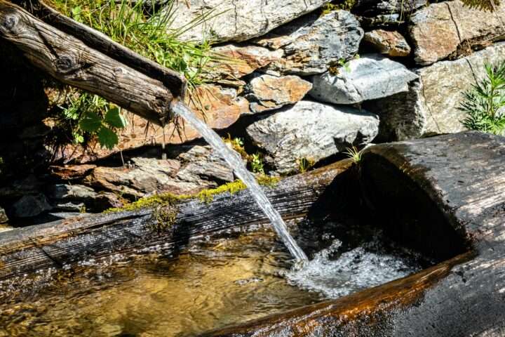 Water pours form a natural pipe into a log.