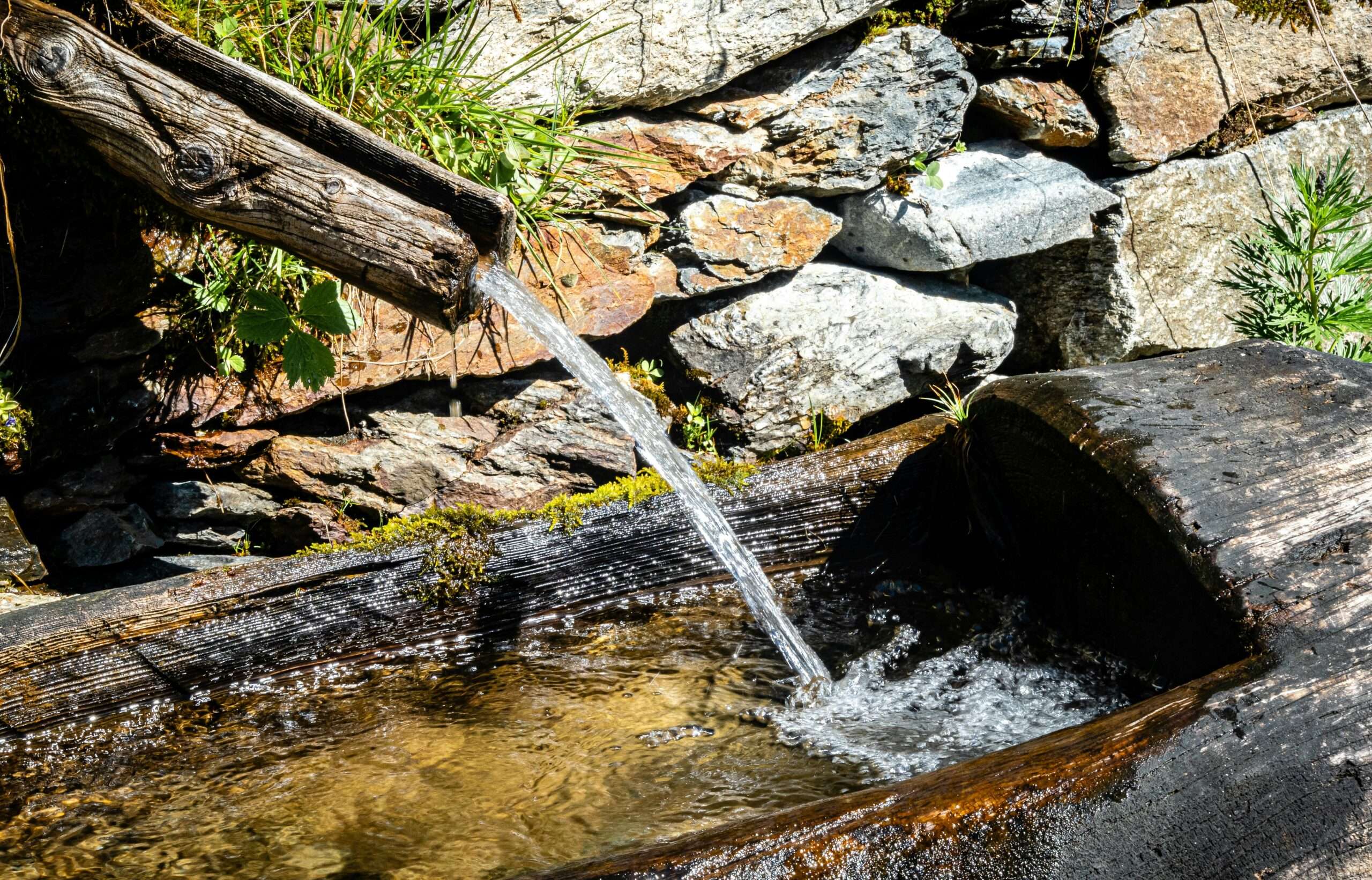 Water pours form a natural pipe into a log.