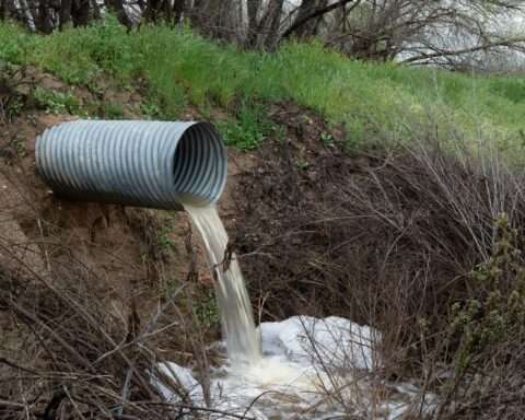 A sewage pipe pours water before a grassy knoll.