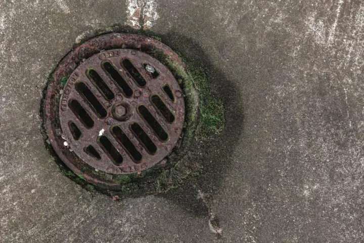 A sewer grate from above.