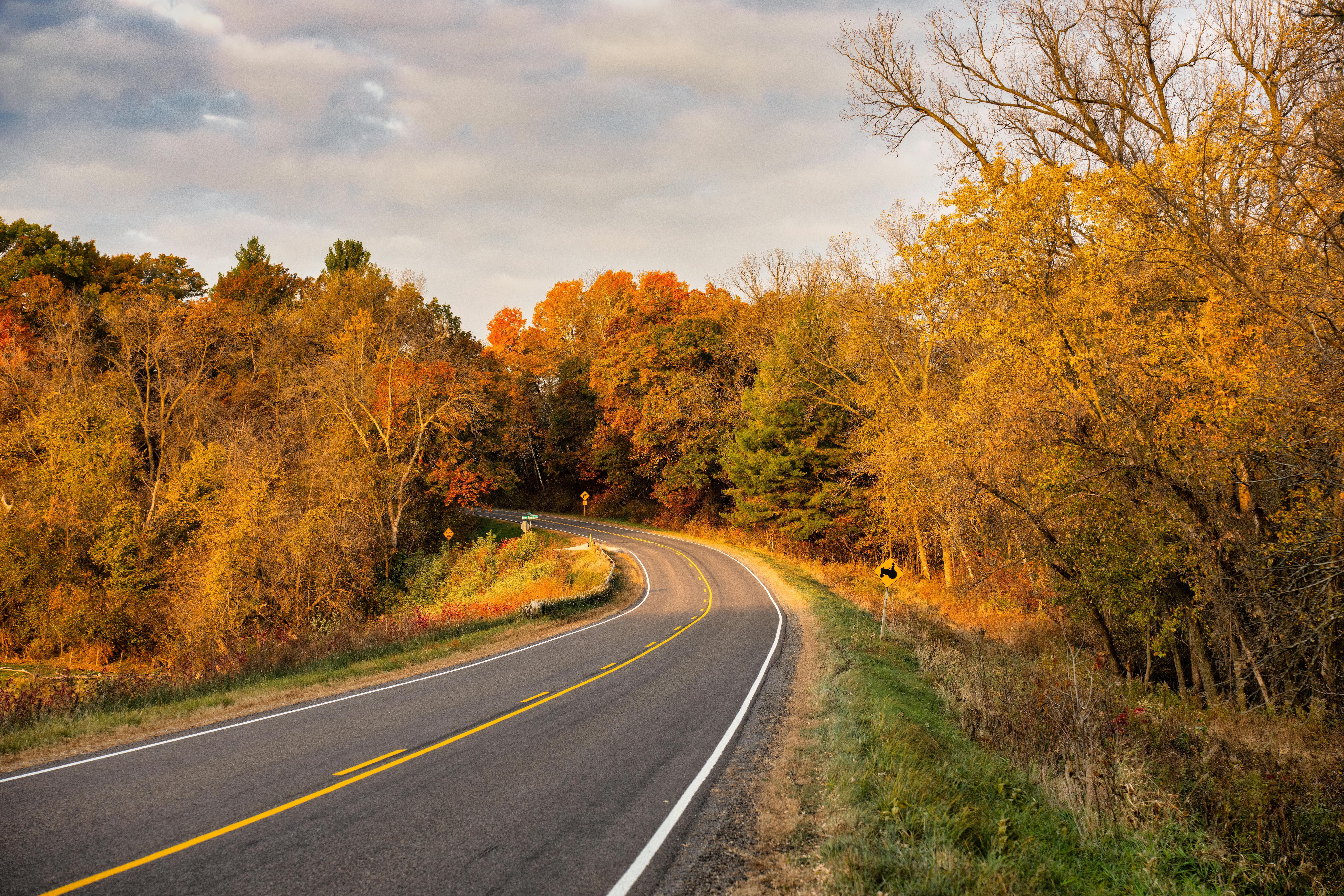 A rural Wisconsin road before autumn trees and greenery.