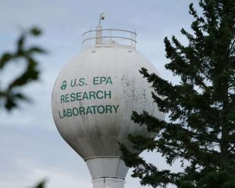 An EPA water tower behind the branches and leaves of several trees.