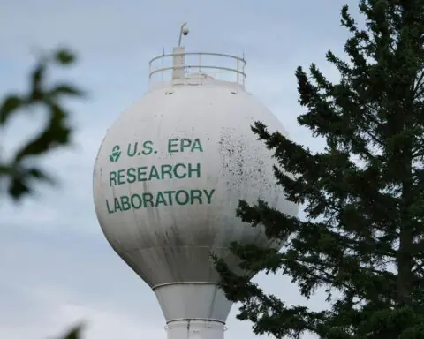 An EPA water tower behind the branches and leaves of several trees.