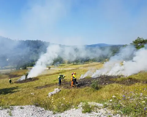 Wildfire workers conduct a burn on an open field during the day.