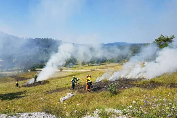 Wildfire workers conduct a burn on an open field during the day.