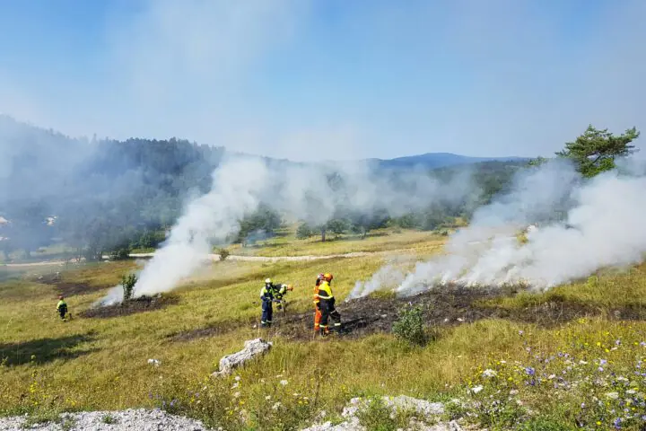 Wildfire workers conduct a burn on an open field during the day.
