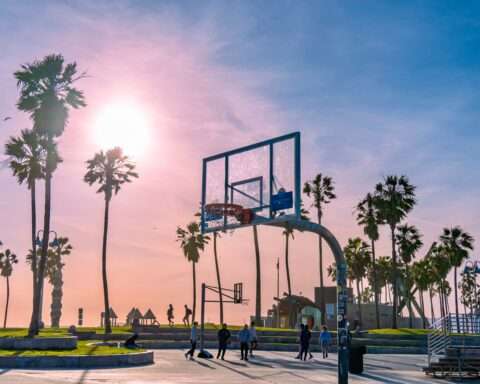 A basketball hoop at a California park before palm trees and a purple glowing sun.