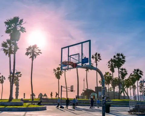 A basketball hoop at a California park before palm trees and a purple glowing sun.
