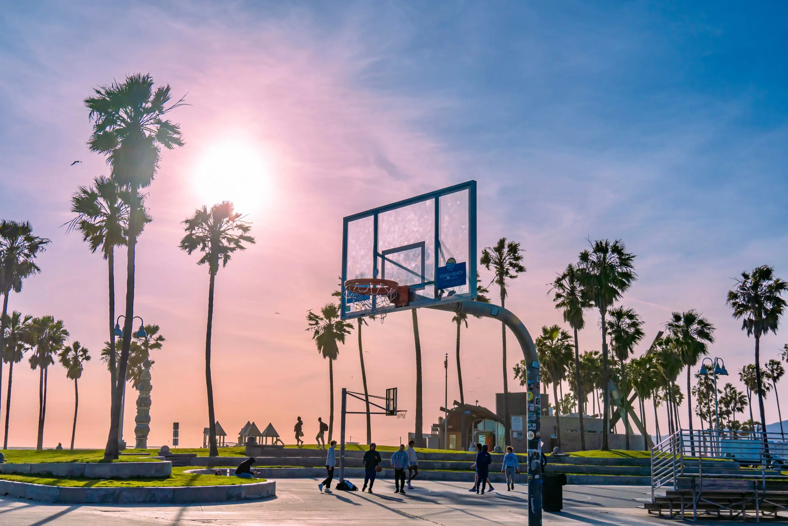A basketball hoop at a California park before palm trees and a purple glowing sun.