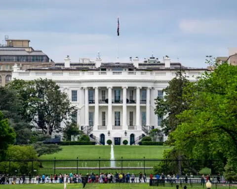 Onlookers before the White House on a sunny day.