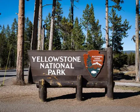 Signage for Yellowstone National Park at the south entrance, adjacent to the Bridger-Teton National Forest.
