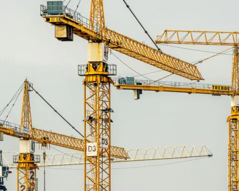 crane