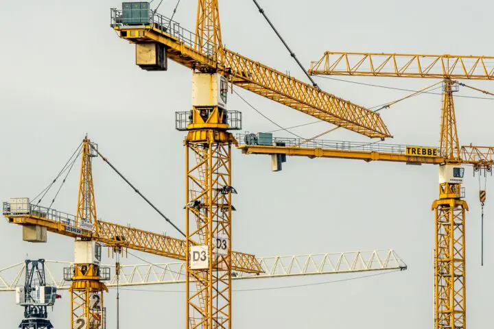 crane