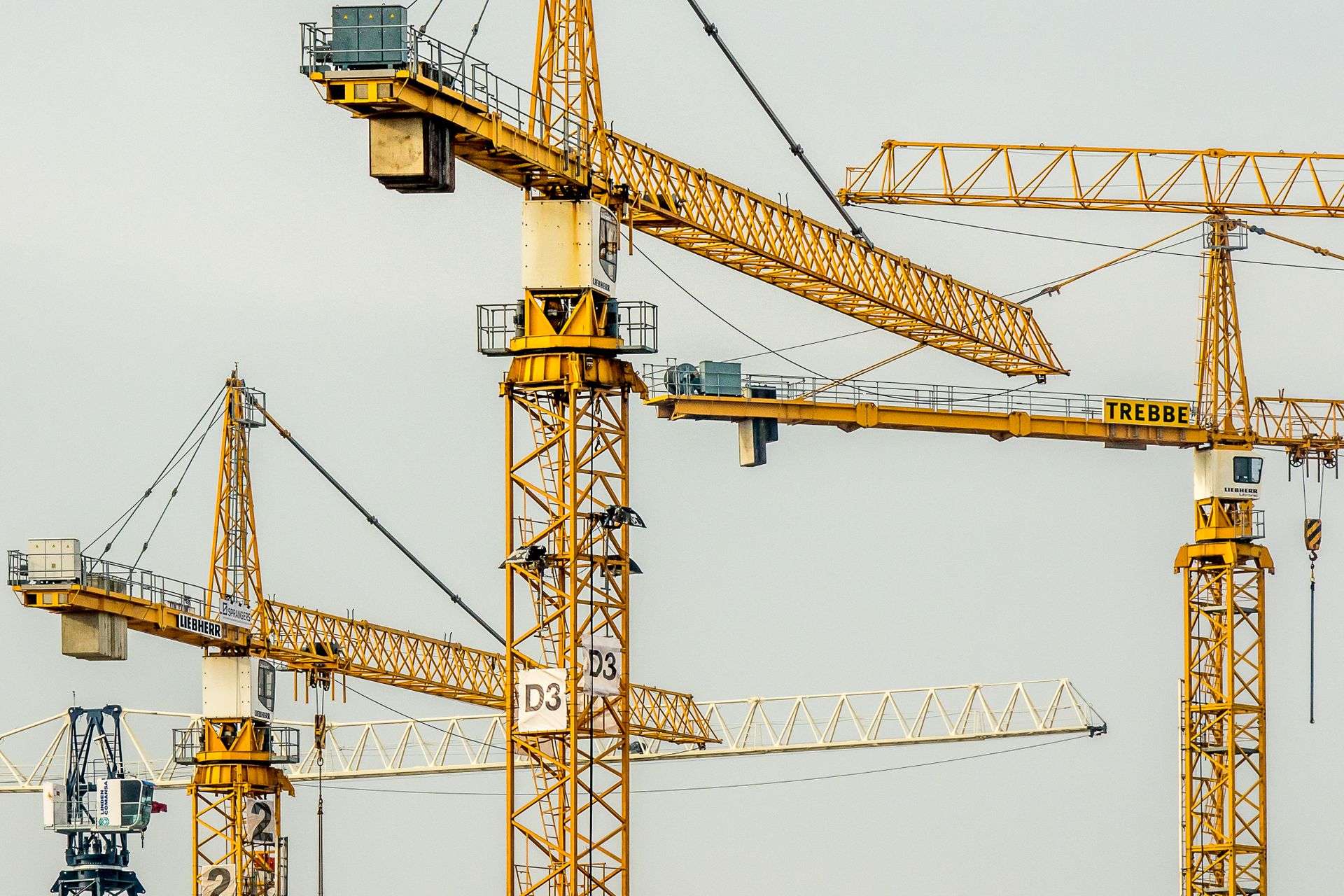 crane