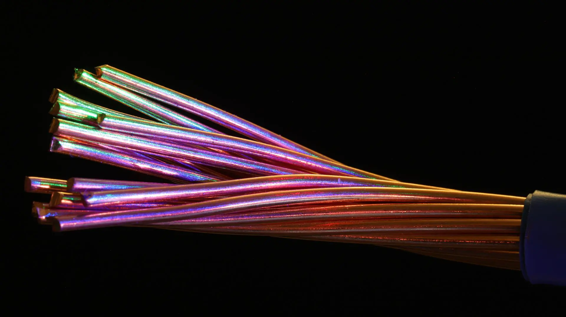 fiber