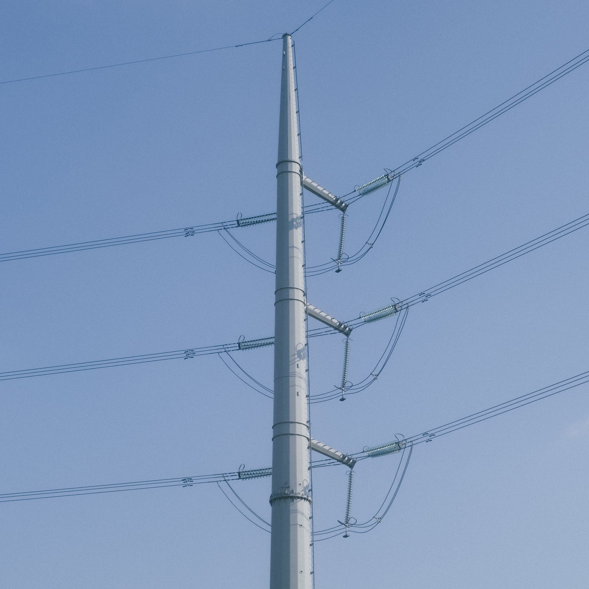 monopole
